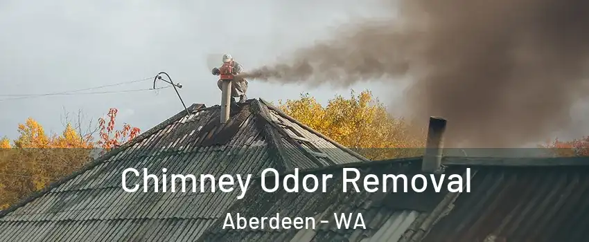  Chimney Odor Removal Aberdeen - WA